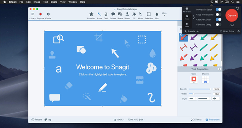highlight mouse when screen recording snagit