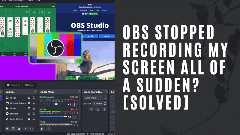 OBS Stopped Recording My Screen All of a Sudden?[Solved]