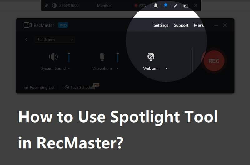 How to Use Spotlight Tool in RecMaster?
